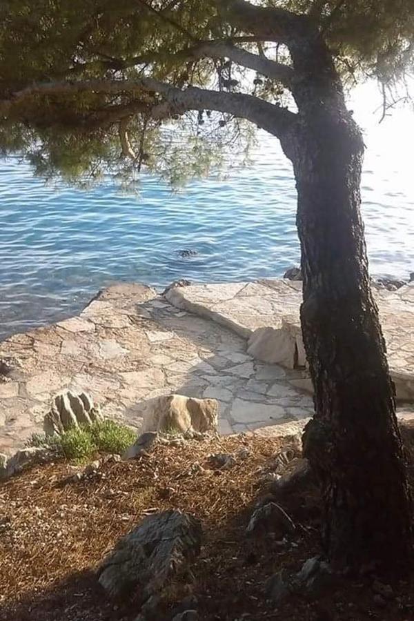 Apartments By The Sea Drage, Biograd - 19189 Pakoštane Екстериор снимка
